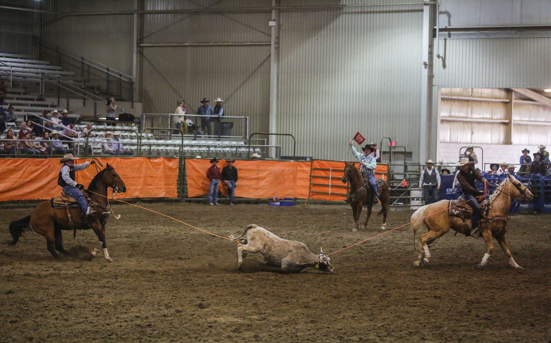 Ropin' and Riggin' Days